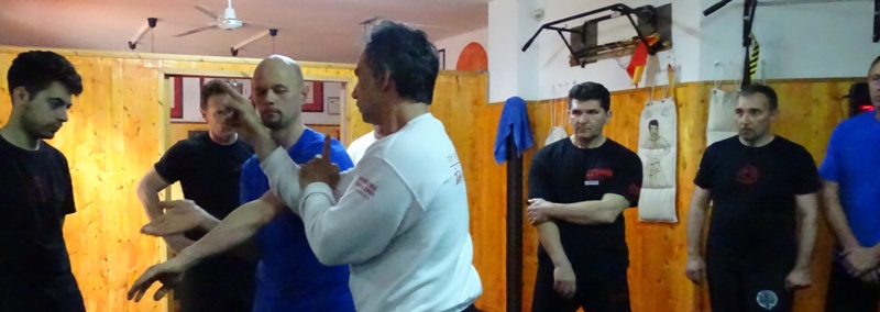 Kung Fu Caserta Italia Accademia di Wing Chun di Sifu Salvatore Mezzone